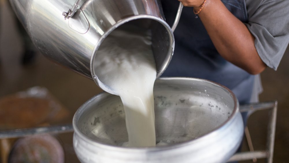 How Kroger And Walmart's Cheap Milk Could Change The Dairy Industry