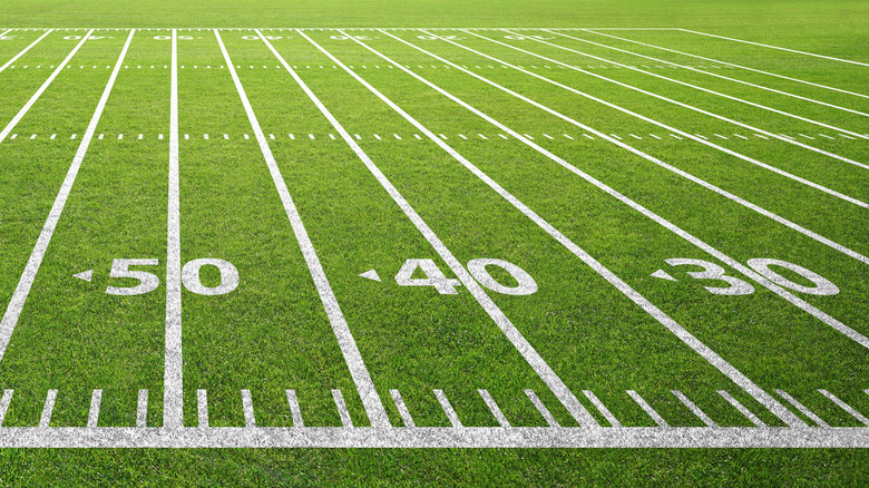 Football field grass