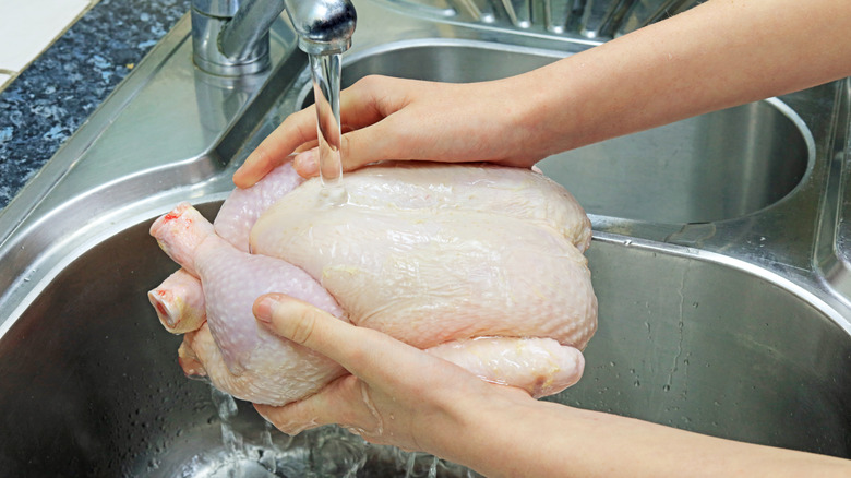 Washing a raw chicken in the sink