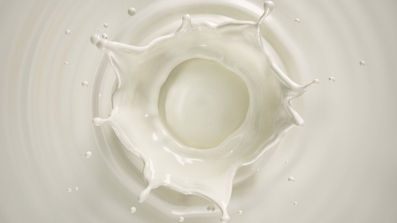 A generic image of milk splashing