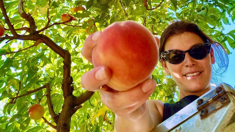 Gail Simmons holding peach