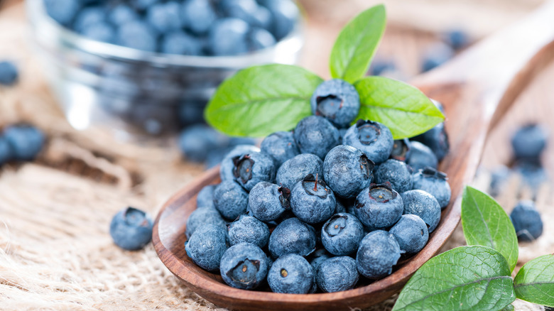 Blueberries on a wooden spoon with herbs