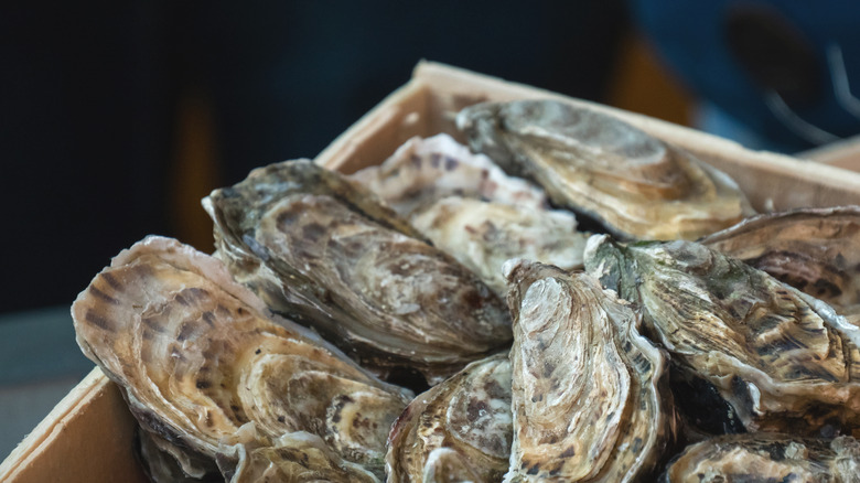 Oysters in crate