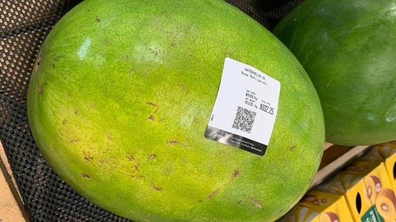 The pricey watermelon in New Zealand