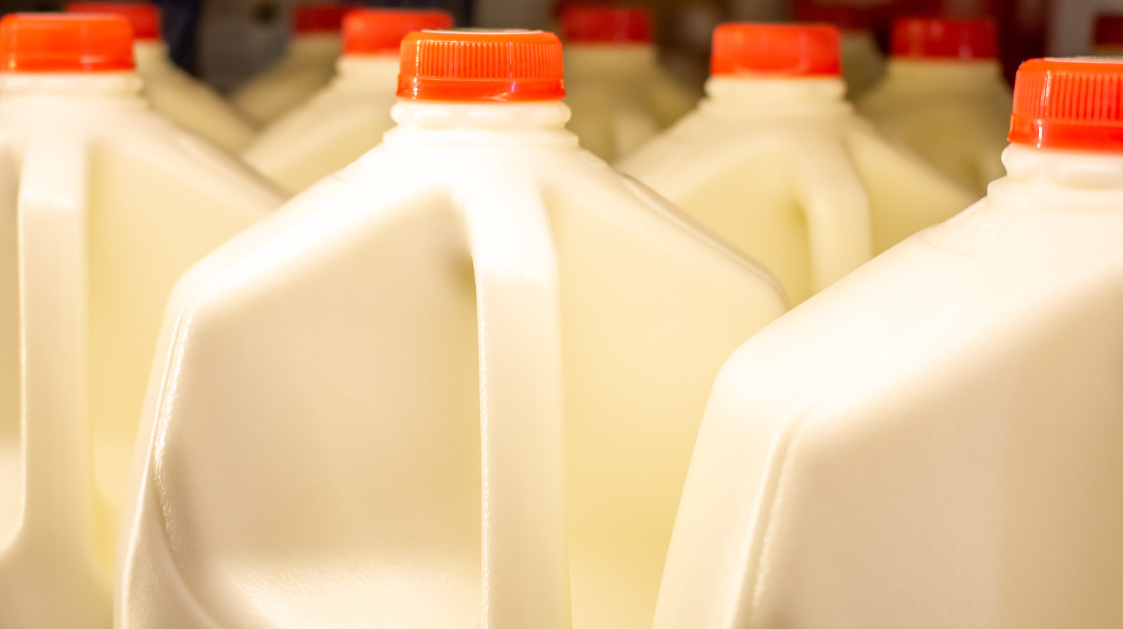 Why Organic Milk Is So Much More Expensive Than Regular Milk