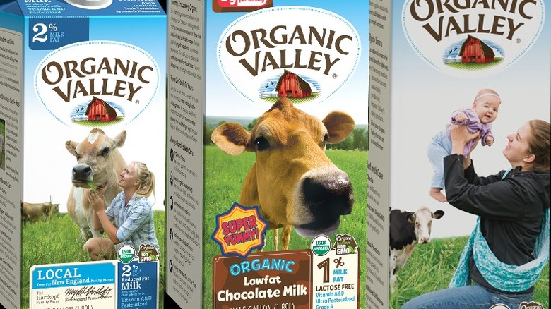 Allegedly misleading Organic Valley milk cartons