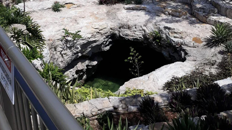 Cenote in Costco parking lot