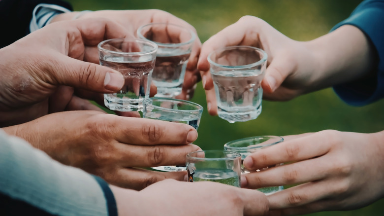 Hands holding vodka shots