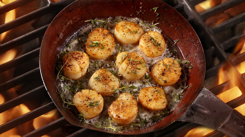 pan-seared scallops