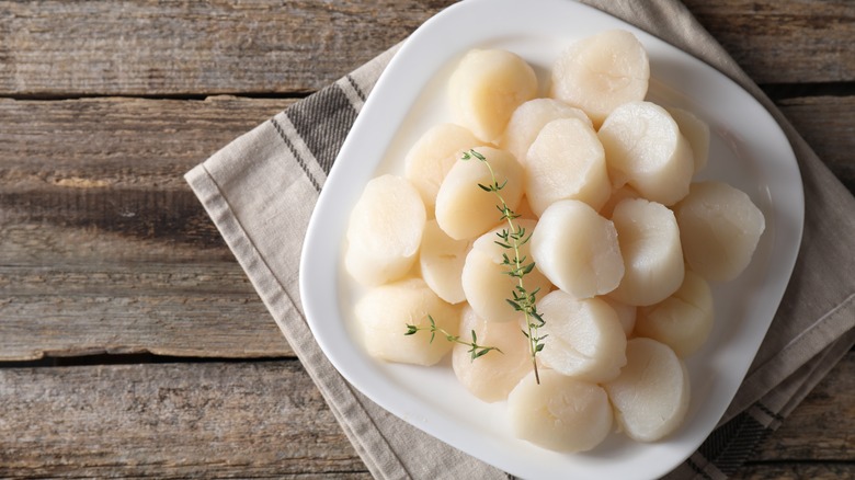 plate of raw scallops