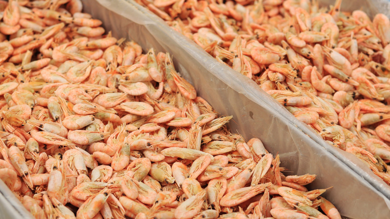 Shrimp for sale at a market