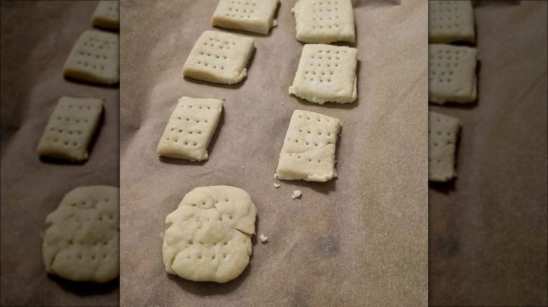 sledging biscuits on paper