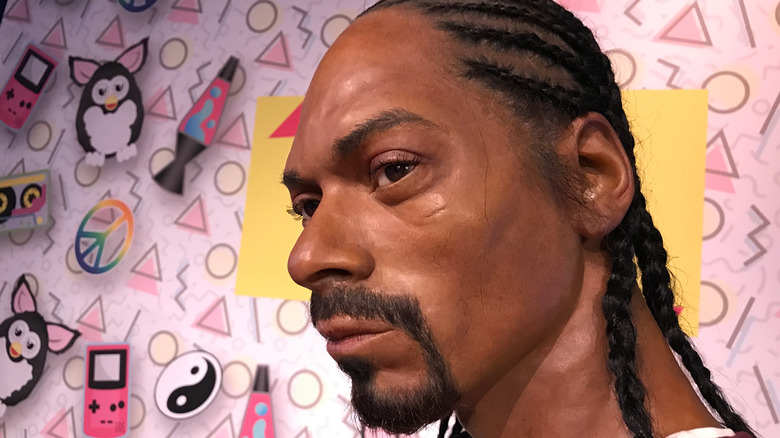 Snoop Dogg looking uninmpressed