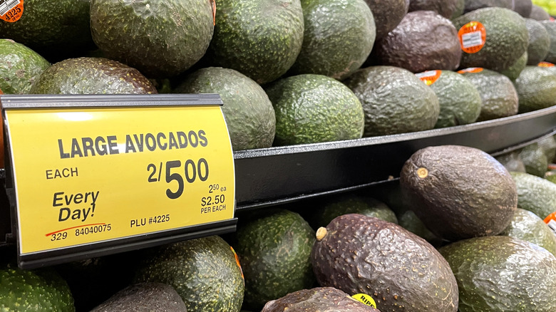 Avocado in grocery store