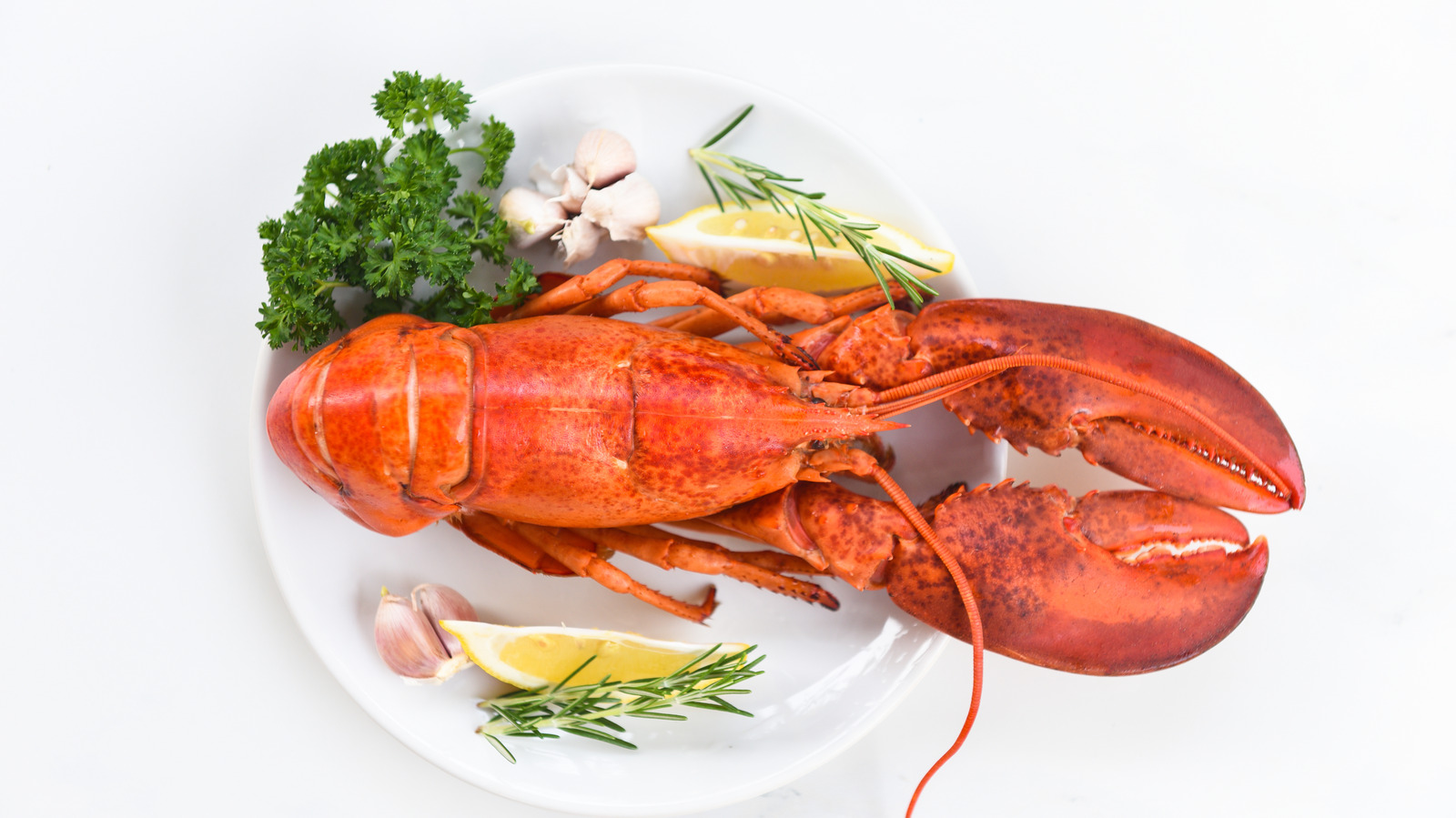 Lobster Stock - A Family Feast®