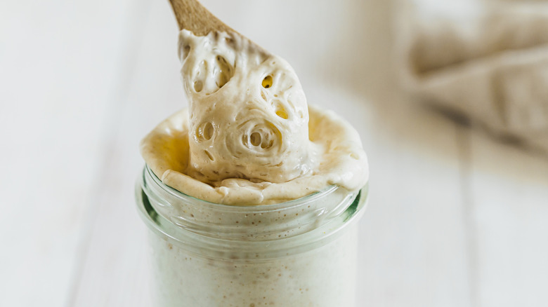 Sourdough starter in glass jar with wood spoon