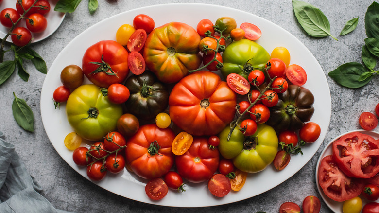 plate of heirloom tomatoes and basil