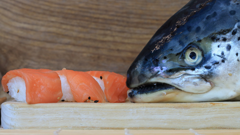 Sushi and a Fish Head