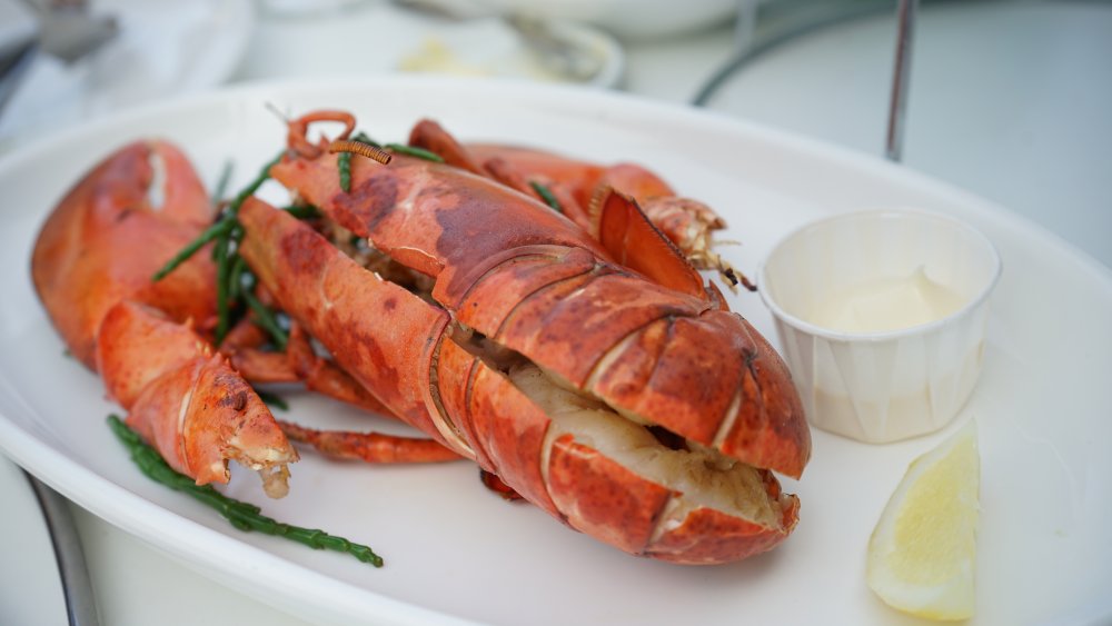 lobster on a plate