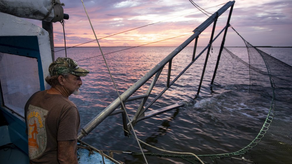 Louisiana fisherman heads out to sea