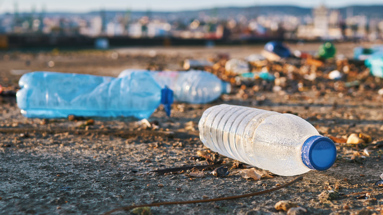 plastic bottles littering ground