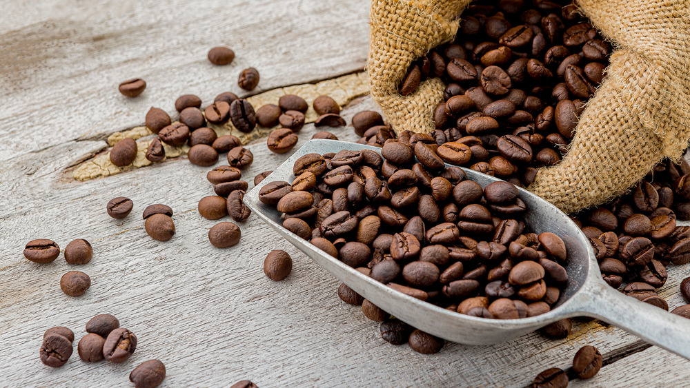 Roasted coffee beans with scoop on table