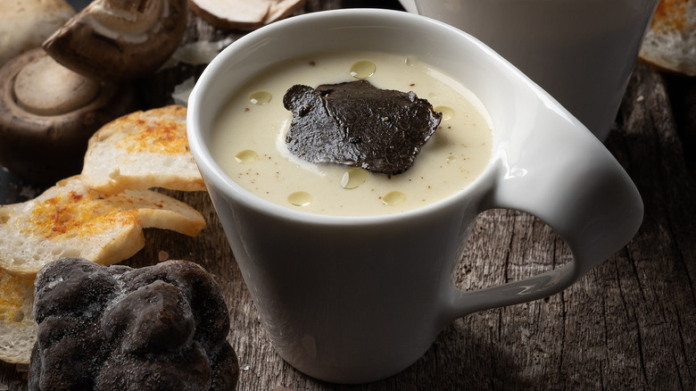 truffle soup