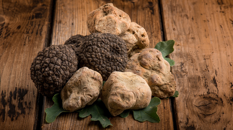 white truffle black truffle