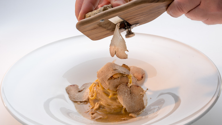 Shaving white truffles over pasta