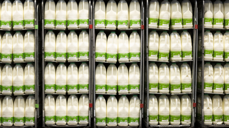 milk on shelves