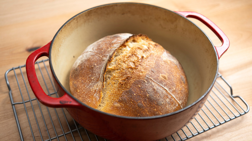 https://www.mashed.com/img/gallery/why-you-may-want-to-rethink-using-your-dutch-oven-for-sourdough/intro-1608783397.jpg