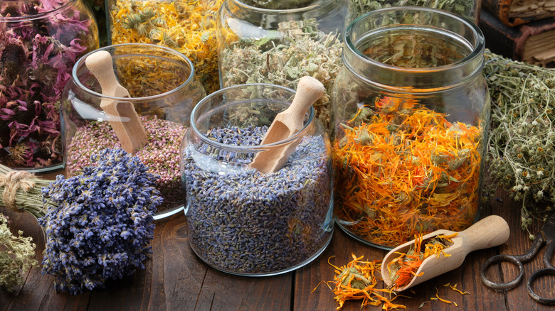 jars of dried flowers