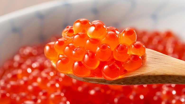 A spoonful of salmon roe