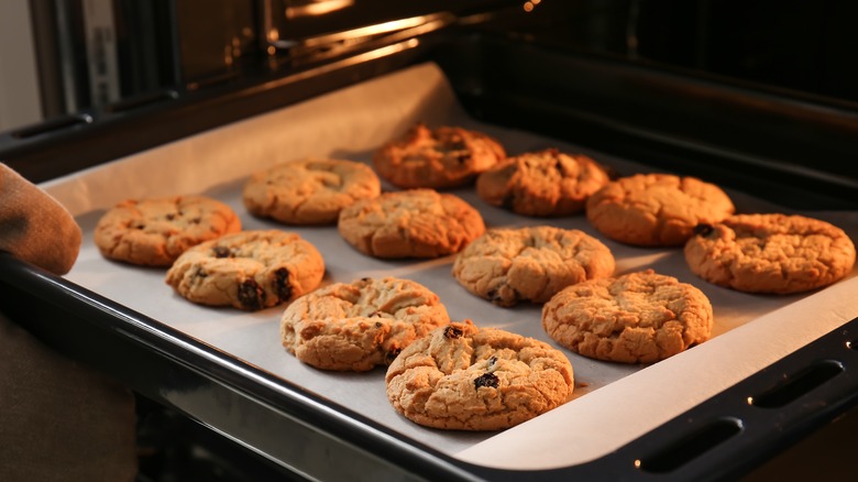 Freshly baked cookies 