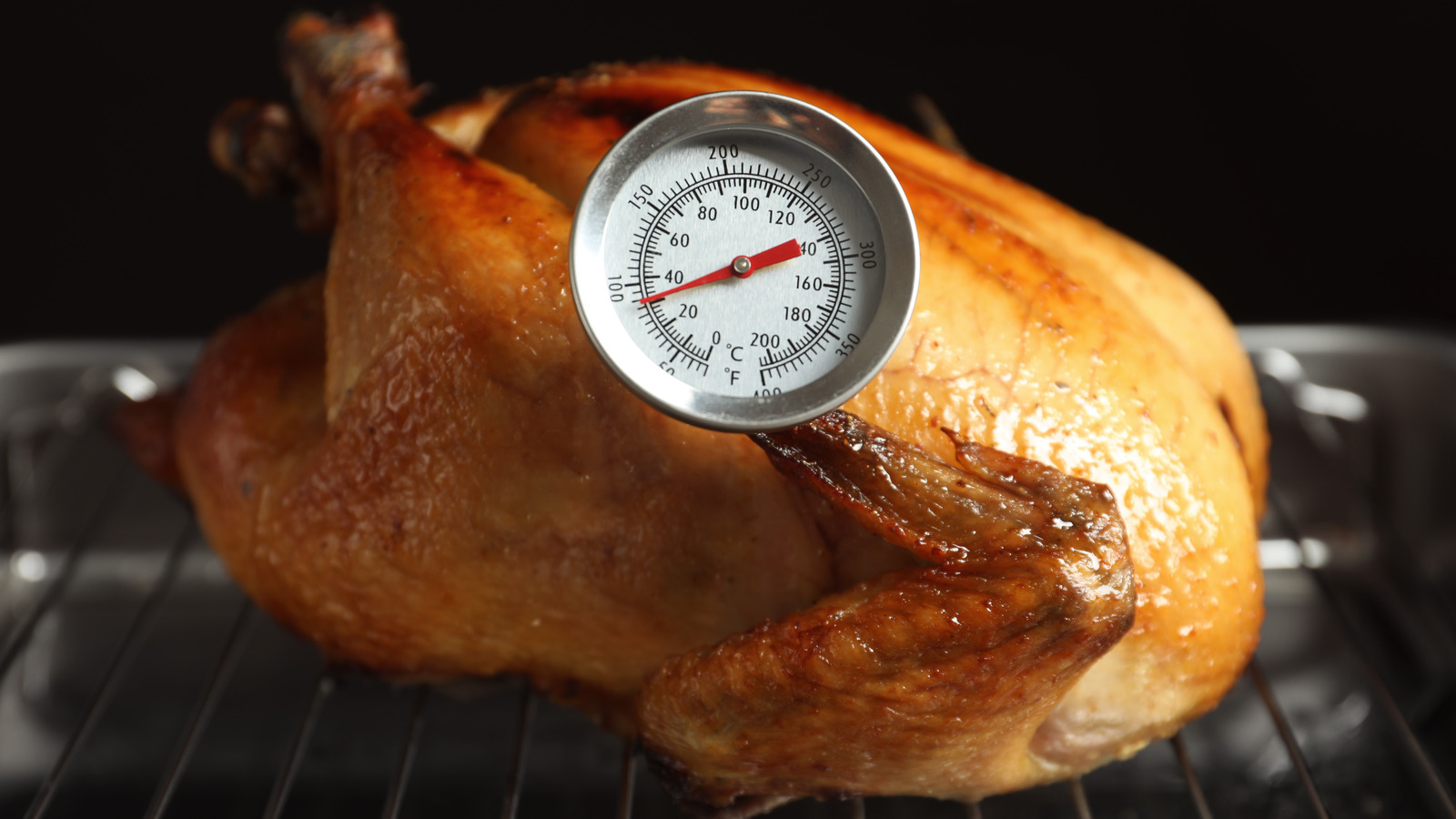 Why You Need a Meat Thermometer, Shopping : Food Network