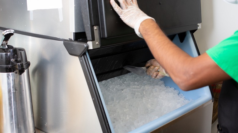 Person scooping ice