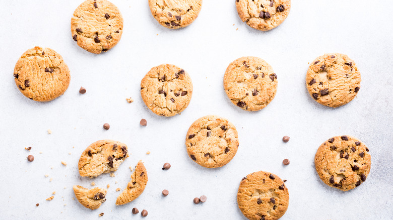 chocolate chip cookies displayed among a white background