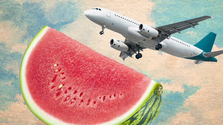 Airplane and watermelon slice