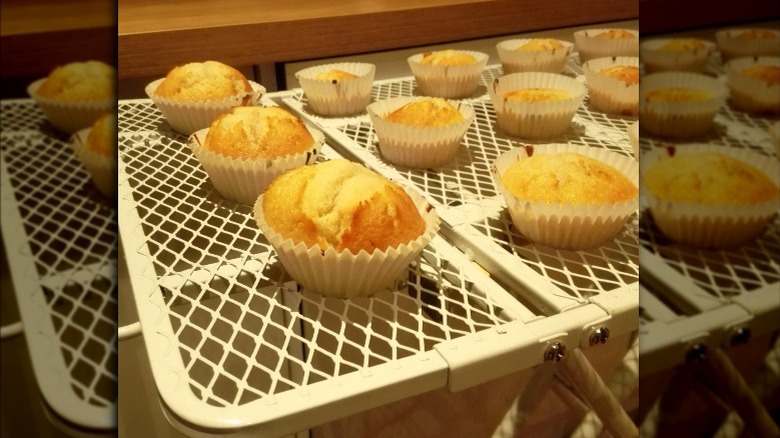 A mesh ironing board with muffins on top