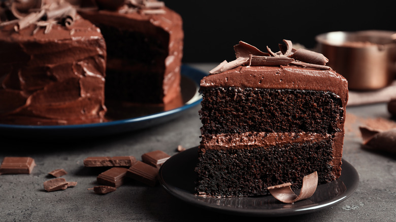 A slice of chocolate cake on a plate