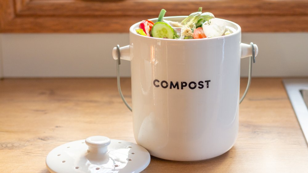 vegetables in kitchen compost bin