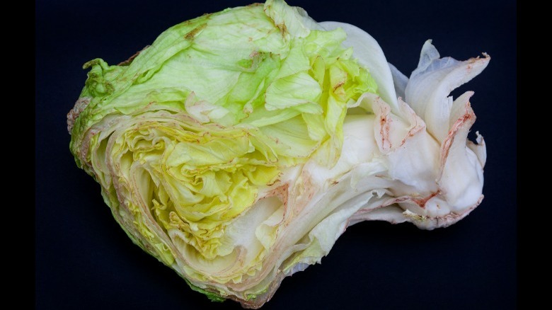 Iceberg lettuce with brown spots