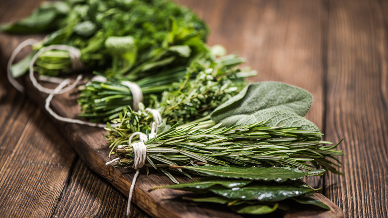 bundles of fresh herbs