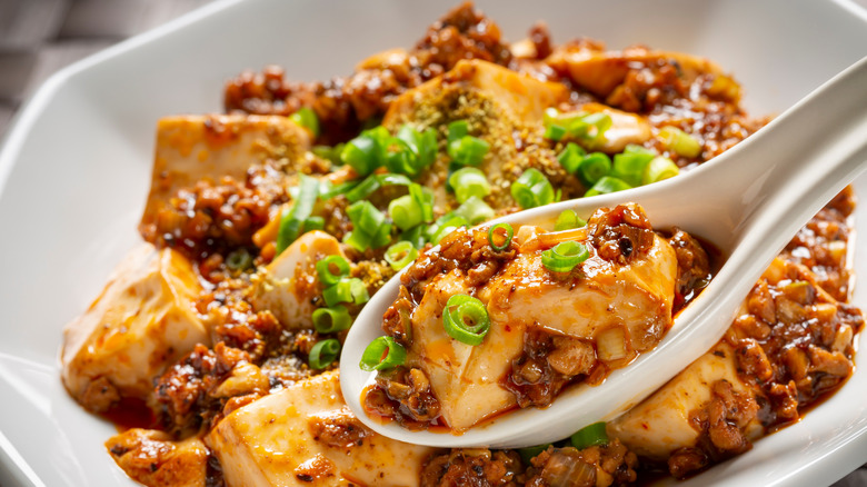 A spoon holding mapo tofu in front of a bowl of mapo tofu