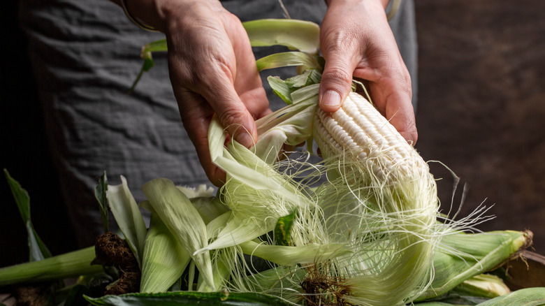 Hands shucking corn