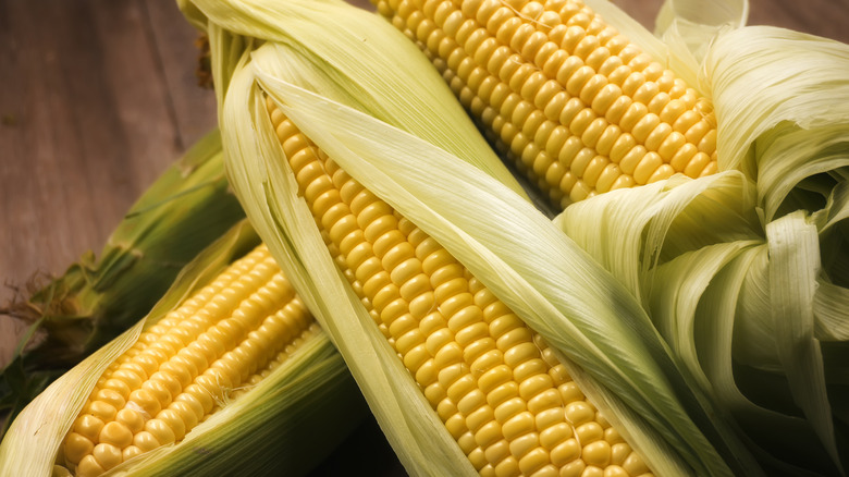 Fresh corn on the cob shucked