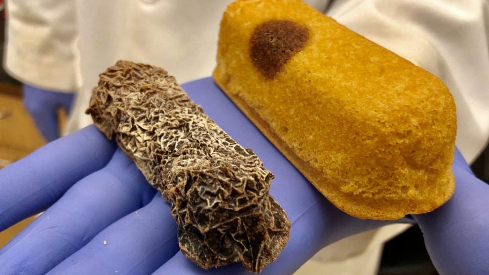 8-year-old Twinkies with fungus