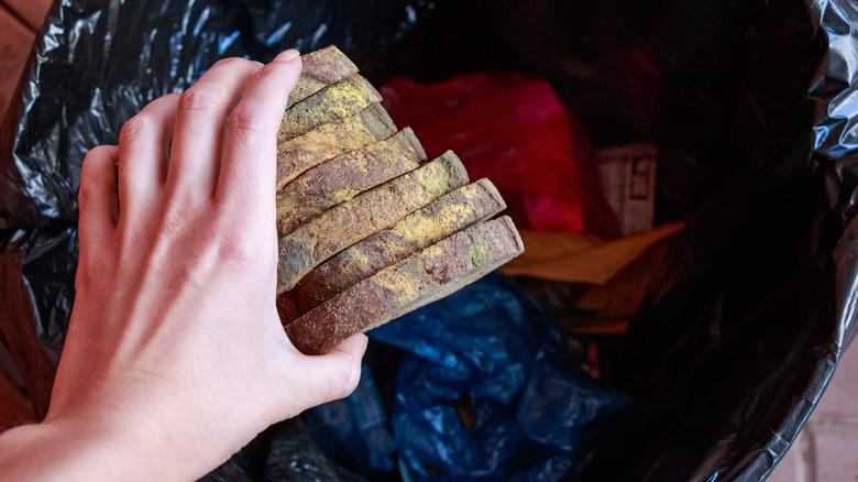 Moldy bread slices going into trash