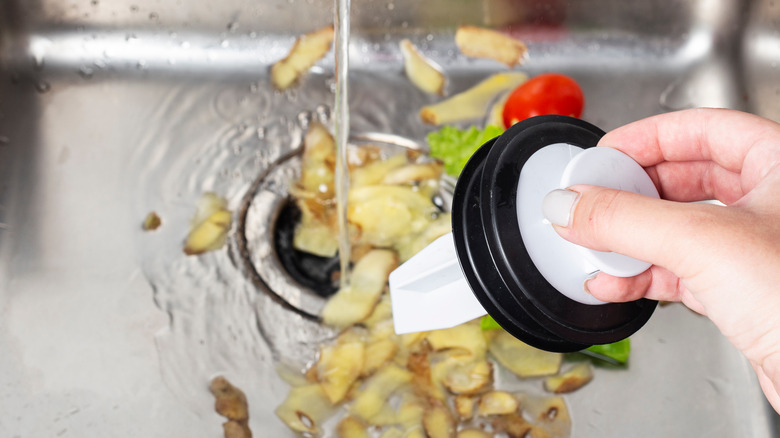 Vegetable waste in the sink 