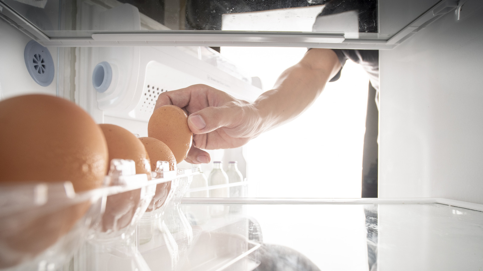 plastic egg storage container refrigerator remove